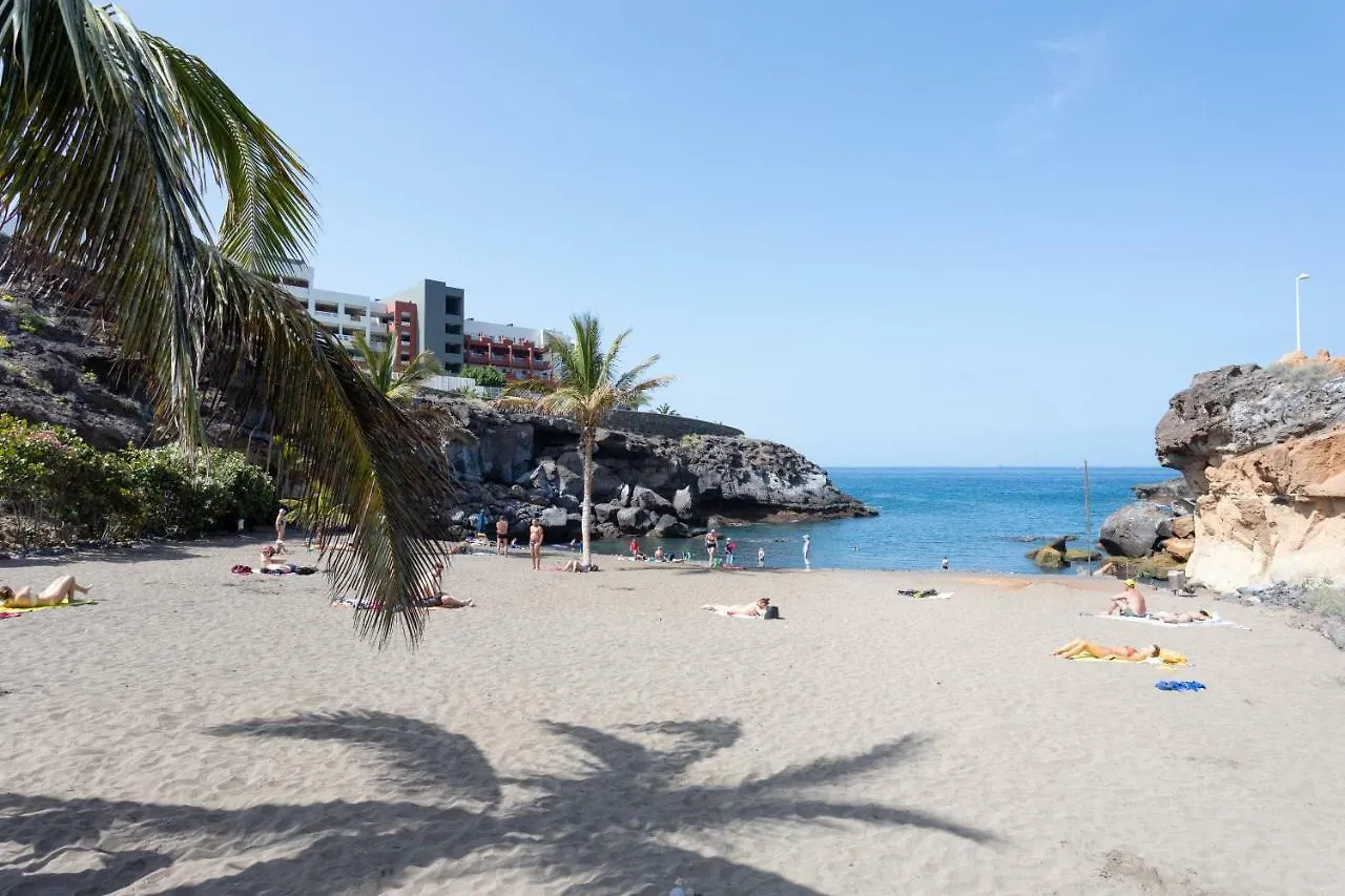 Appartamento Elekagua Renting Costa Adeje   Costa Adeje (Tenerife)